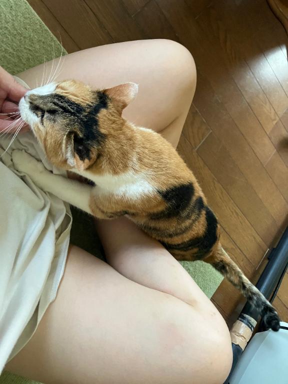 熊本 ソープランド「メンバーズエンゼル」の最新写メ日記